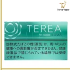 IQOS TEREA Mint Japan – Fresh Mint Flavor for IQOS ILUMA