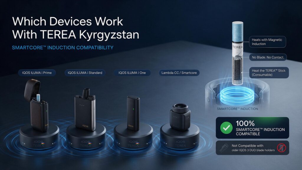 TEREA Kyrgyzstan: Full Flavor & Buying Guide 2 TEREA Kyrgyzstan