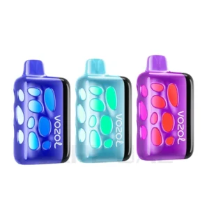 VOZOL Rave 40000 Disposable Vape UAE